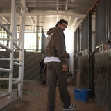 CALI ZIP HOODIE (MAJOR BROWN)